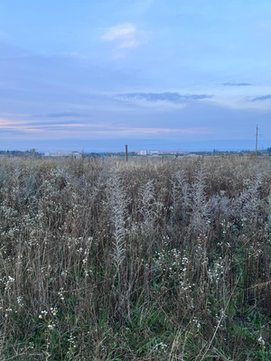 Купить  участок