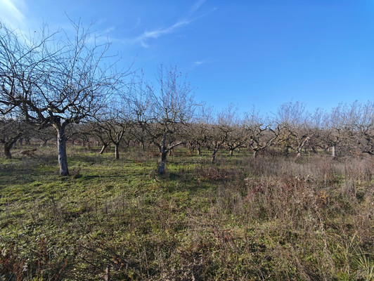 Купить  участок