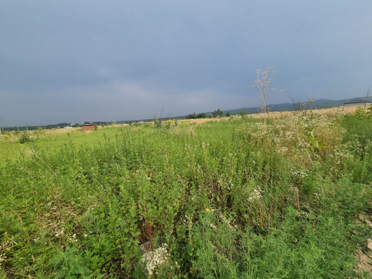 Купить  участок