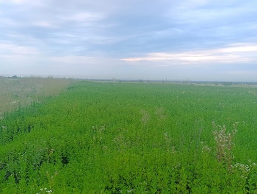 Купить  участок