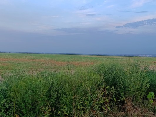 Купить  участок
